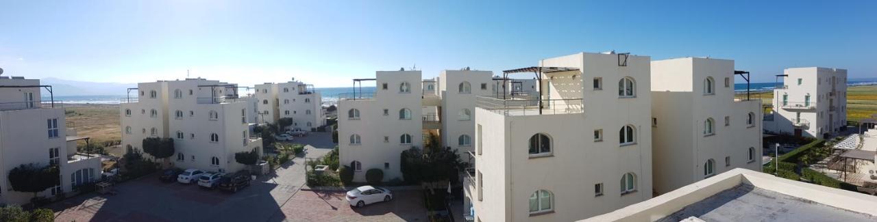 Aphrodite Beachfront Penthouse Apartment Ghaziveran エクステリア 写真