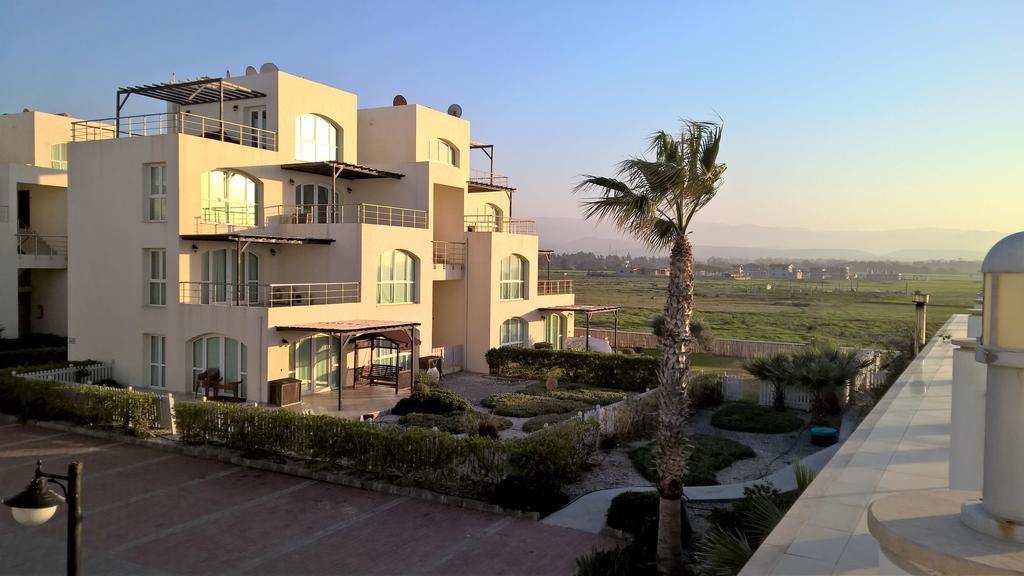 Aphrodite Beachfront Penthouse Apartment Ghaziveran エクステリア 写真
