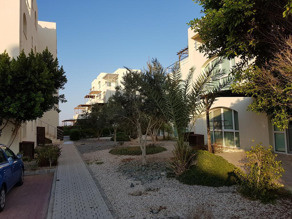 Aphrodite Beachfront Penthouse Apartment Ghaziveran エクステリア 写真