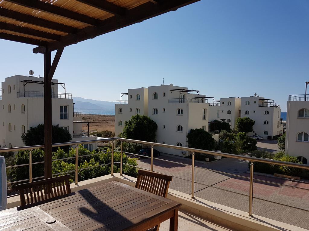 Aphrodite Beachfront Penthouse Apartment Ghaziveran エクステリア 写真